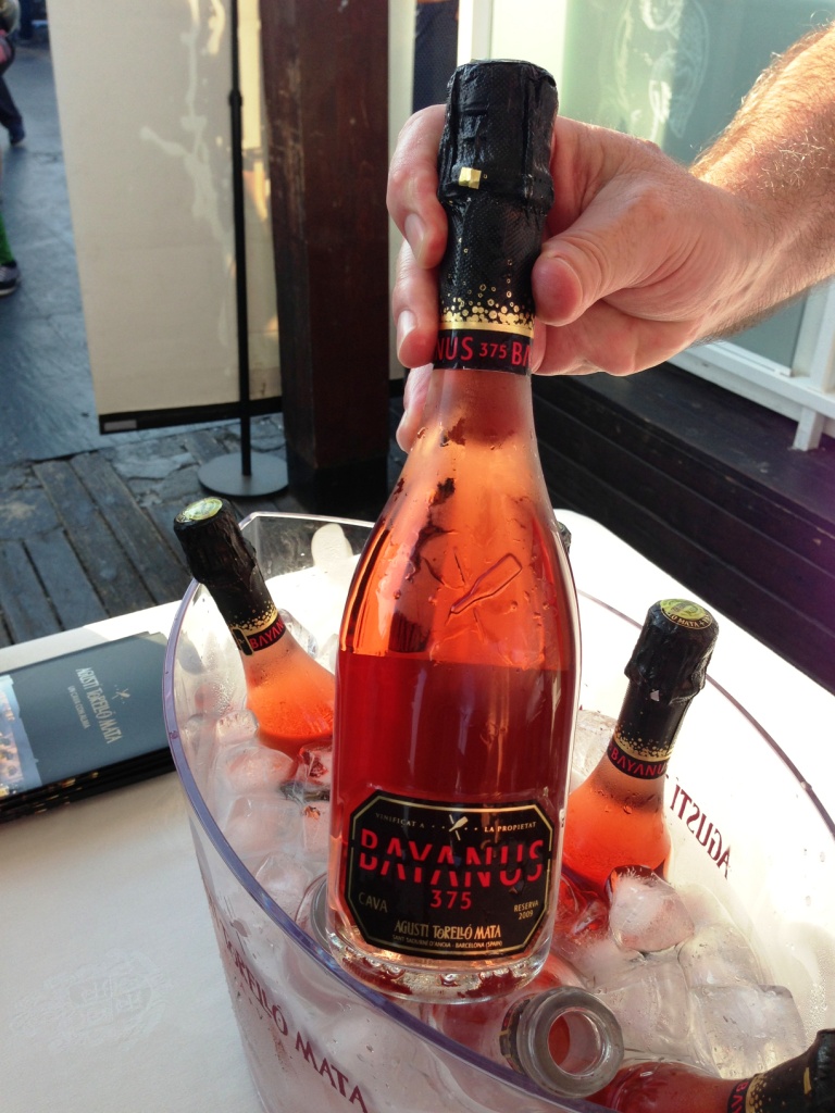 FASCV_Burbujas_Valencia_Agusti_Torello_Bayanus